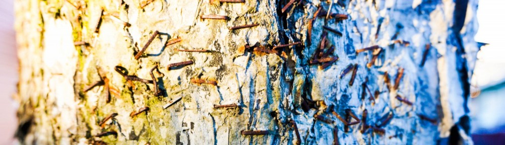 Fascination is Invention